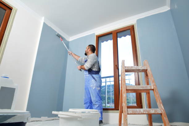 Best Drywall Removal and Disposal  in Glasgow, KY